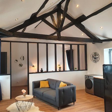 Апартаменти Le Loft De Blossac Пуатьє Екстер'єр фото